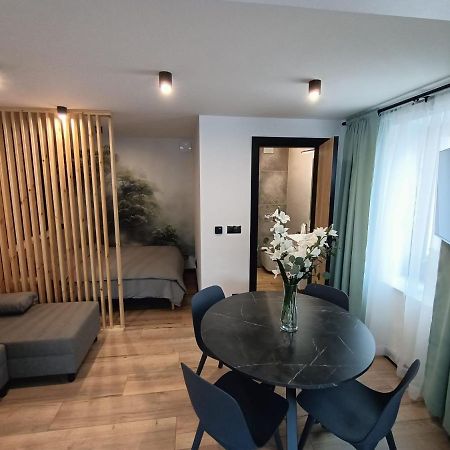 Апартаменты Apartament Janowskiego Klimatyzacja, Air Conditioning, Ground Floor, Parking, Parter, Cisza I Spokoj, Quiet And Pleasant, Idealny Na Odpoczynek Perfect For Rest Кельце Экстерьер фото