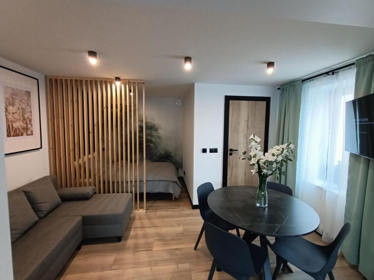 Апартаменты Apartament Janowskiego Klimatyzacja, Air Conditioning, Ground Floor, Parking, Parter, Cisza I Spokoj, Quiet And Pleasant, Idealny Na Odpoczynek Perfect For Rest Кельце Экстерьер фото