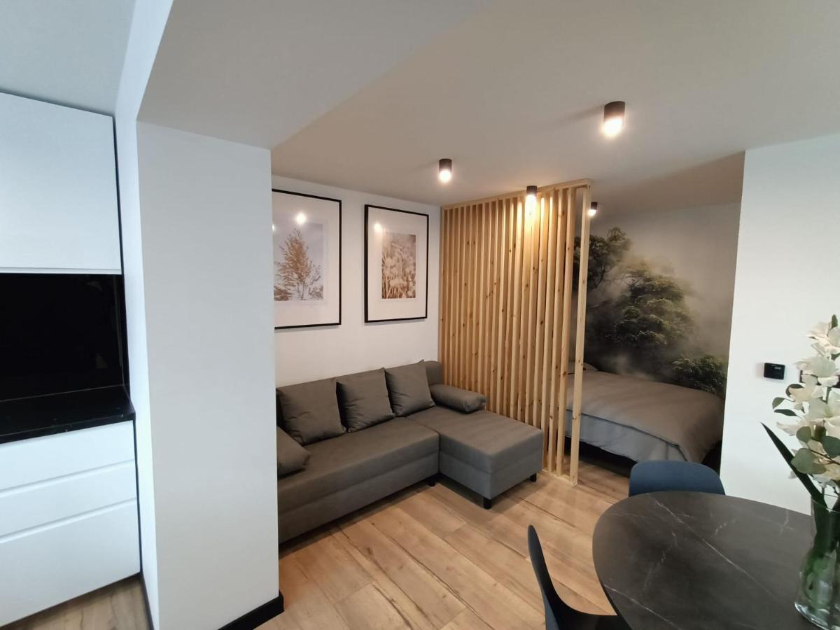 Апартаменты Apartament Janowskiego Klimatyzacja, Air Conditioning, Ground Floor, Parking, Parter, Cisza I Spokoj, Quiet And Pleasant, Idealny Na Odpoczynek Perfect For Rest Кельце Экстерьер фото