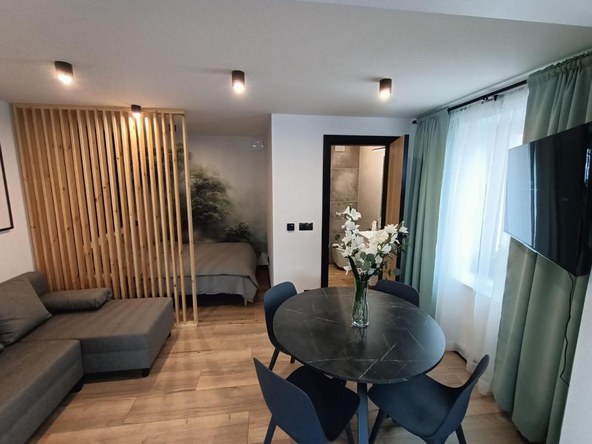 Апартаменты Apartament Janowskiego Klimatyzacja, Air Conditioning, Ground Floor, Parking, Parter, Cisza I Spokoj, Quiet And Pleasant, Idealny Na Odpoczynek Perfect For Rest Кельце Экстерьер фото